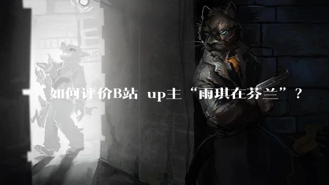 如何评价B站 up主“雨琪在芬兰”？