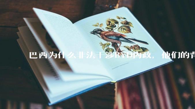 巴西为什么非法干涉BYD内政，他们的背后是谁，目的是什么？