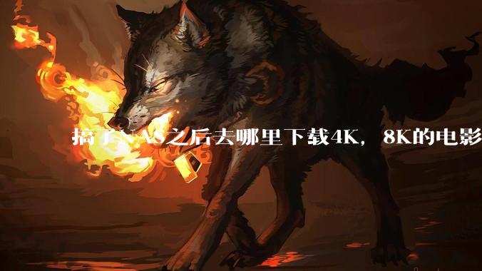 搞了NAS之后去哪里下载4K，8K的电影？